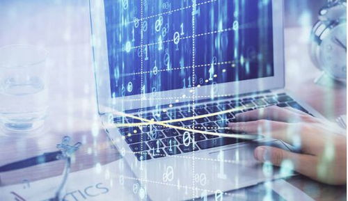 計(jì)算機(jī)信息技術(shù)證辦理所需資料與考試內(nèi)容詳解